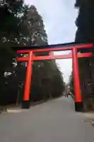 霧島神宮(鹿児島県)