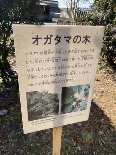 井出神社の庭園