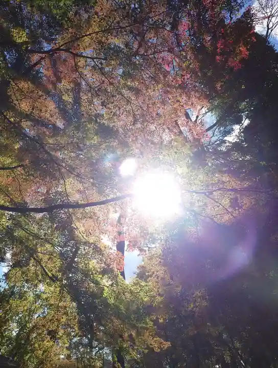乃木神社(栃木県)