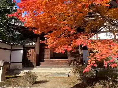 鹿王院(京都府)