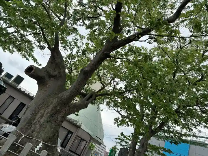 阿邪訶根神社(福島県)