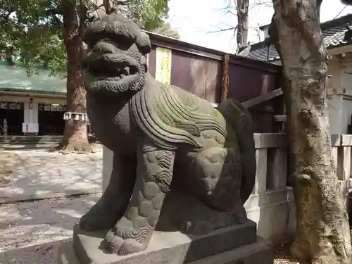 駒込天祖神社の狛犬