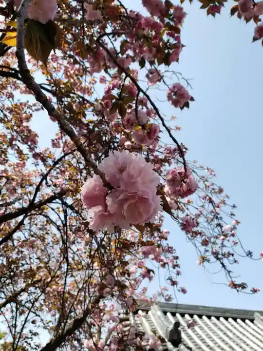 荘厳寺(東京都)