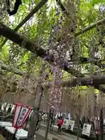 行興寺(静岡県)