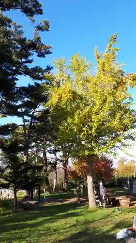 大江神社(北海道)