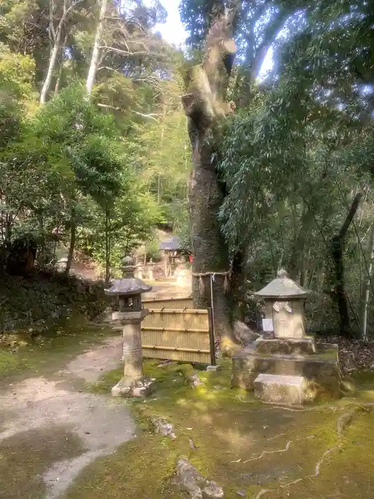 信達神社(大阪府)