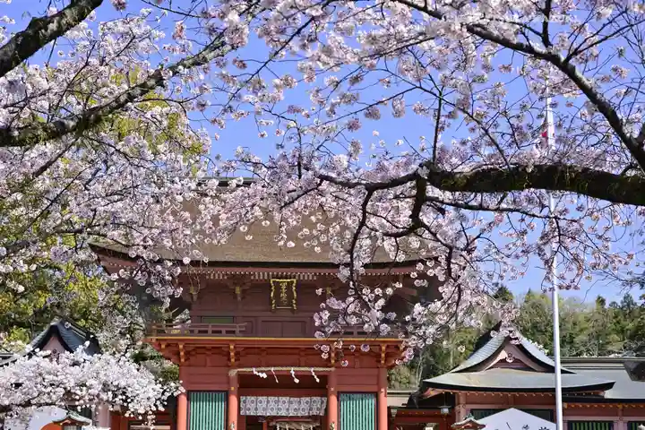 富士山本宮浅間大社(静岡県)