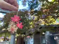 彌彦神社　(伊夜日子神社)(北海道)