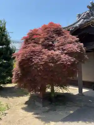 無量山 祖山寺(愛知県)