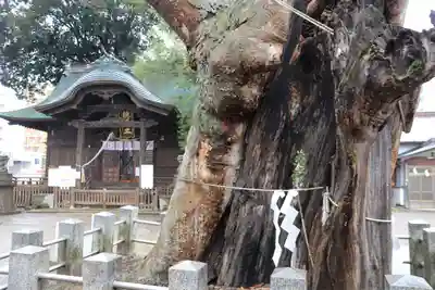 阿邪訶根神社のその他建物