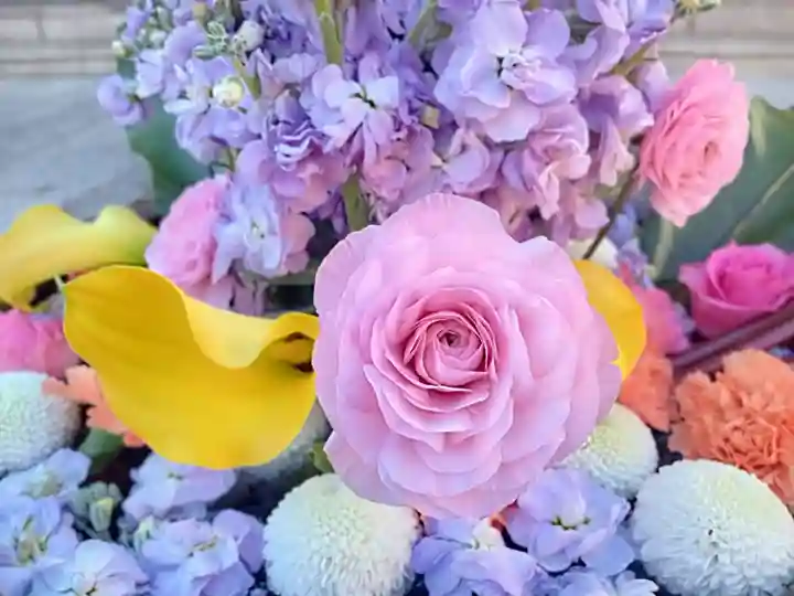 釋迦院(釈迦院)(大阪府)