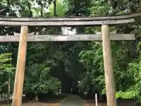 若狭彦神社(上社)の鳥居