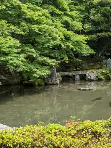 蓮華寺（洛北蓮華寺）(京都府)