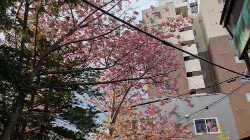 札幌諏訪神社の自然