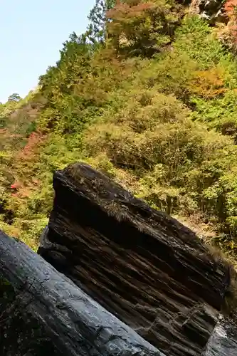 東陸様(高知県)