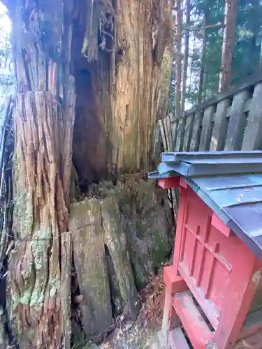 日光東照宮(栃木県)