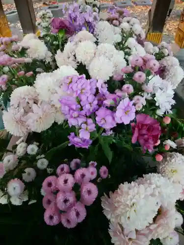 彌彦神社　(伊夜日子神社)の手水舎