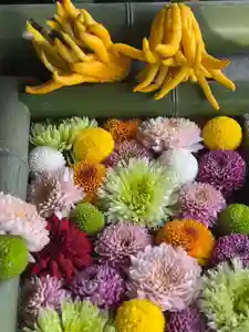 水無瀬神宮(大阪府)(2024年12月30日(月) 13時10分29秒投稿)