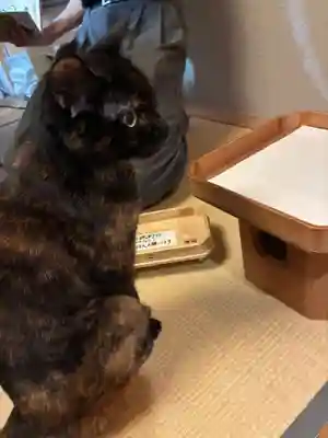 五十稲荷神社(栄寿稲荷神社)(東京都)