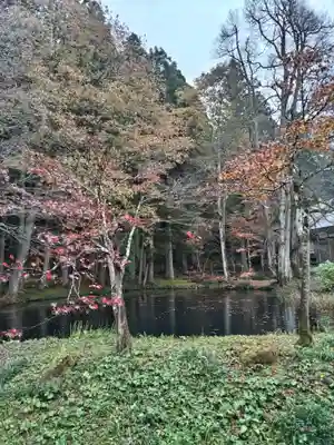 雲洞庵(新潟県)