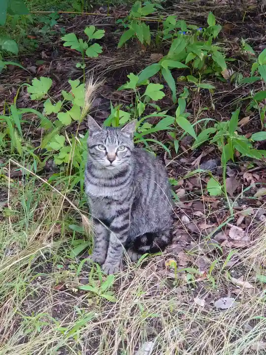 蘇我比咩神社(千葉県)