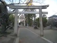 橘樹神社(千葉県)