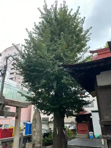 瑜伽神社　(大黒神社、蛭子神社)(福岡県)