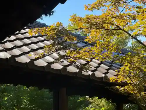 東福禅寺（東福寺）(京都府)