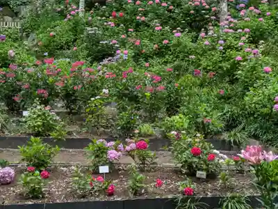 二本松寺(茨城県)