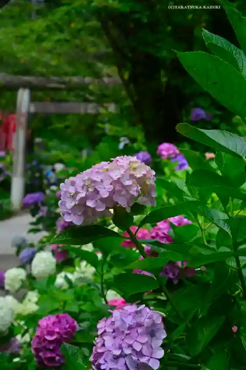 太平山神社(栃木県)