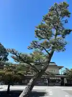 田縣神社の{uncategorized: "未分類", other: "その他", undefined: "問題あり", building: "その他建物", grave: "お墓", sacred_gate: "鳥居", guardian: "狛犬", statue: "像", buddha: "仏像", history: "歴史", nature: "自然", garden: "庭園", animal: "動物", pagoda: "塔", temizu: "手水舎", mountain_gate: "山門・神門", sanctuary: "本殿・本堂", subordinate: "末社・摂社", art: "芸術", scenery: "景色", jizo: "地蔵", ema: "絵馬", goshuin: "御朱印", omikuji: "おみくじ", items: "授与品その他", amulet: "お守り", goshuincho: "御朱印帳", eats: "食事", festival: "お祭り", votive_dance: "神楽", shichigosan: "七五三参", wedding: "結婚式", experience: "体験その他", initially: "初詣", around: "周辺", anti_infection: "感染症対策"}