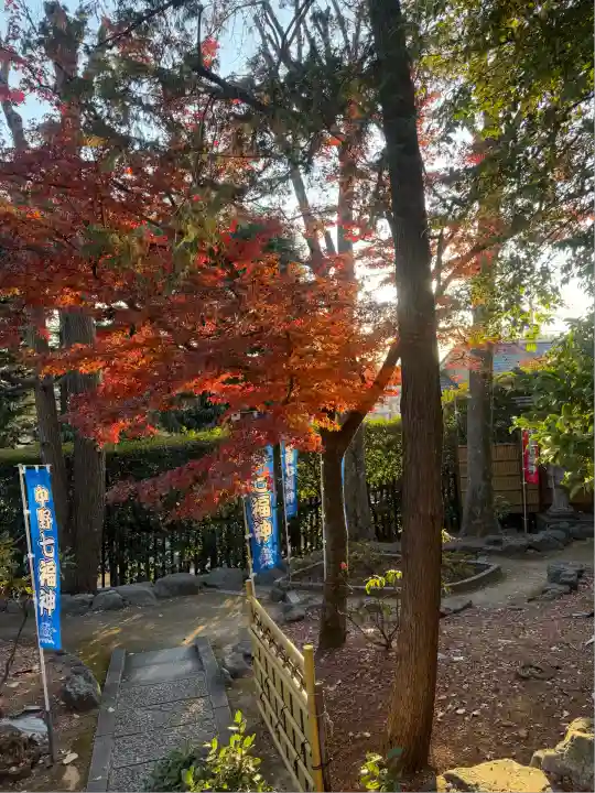 中野沼袋氷川神社(東京都)