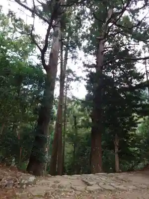 飛瀧神社(熊野那智大社別宮)(和歌山県)