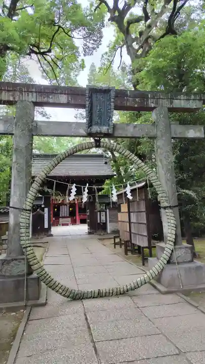 赤坂氷川神社(東京都)