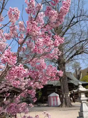 賀羅加波神社(広島県)