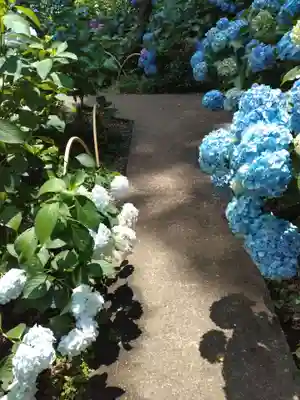 妙楽寺(神奈川県)