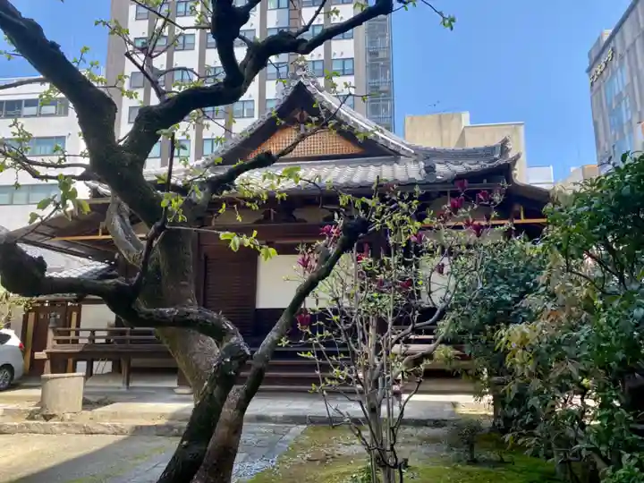 高野堂妙心寺(京都府)