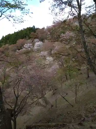 吉野水分神社（吉野町）の自然