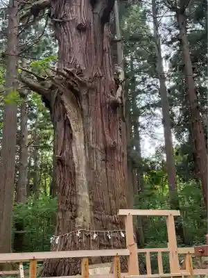 巖鬼山神社(青森県)