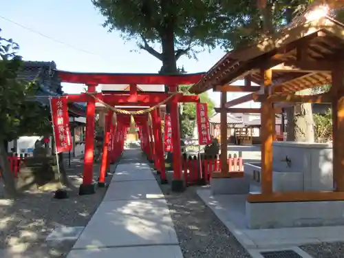 於菊稲荷神社の鳥居