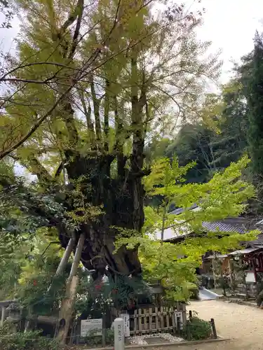 葛城一言主神社のその他建物