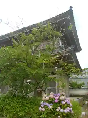 光明寺の山門・神門