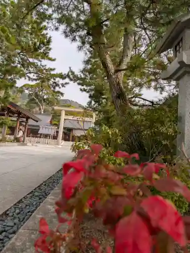 丹後一ノ宮 元伊勢 籠神社の{uncategorized: "未分類", other: "その他", undefined: "問題あり", building: "その他建物", grave: "お墓", sacred_gate: "鳥居", guardian: "狛犬", statue: "像", buddha: "仏像", history: "歴史", nature: "自然", garden: "庭園", animal: "動物", pagoda: "塔", temizu: "手水舎", mountain_gate: "山門・神門", sanctuary: "本殿・本堂", subordinate: "末社・摂社", art: "芸術", scenery: "景色", jizo: "地蔵", ema: "絵馬", goshuin: "御朱印", omikuji: "おみくじ", items: "授与品その他", amulet: "お守り", goshuincho: "御朱印帳", eats: "食事", festival: "お祭り", votive_dance: "神楽", shichigosan: "七五三参", wedding: "結婚式", experience: "体験その他", initially: "初詣", around: "周辺", anti_infection: "感染症対策"}