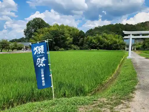 木梨神社の周辺