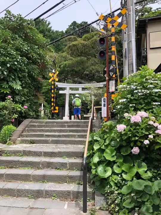 御霊神社の周辺