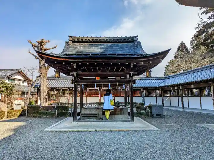 沙沙貴神社の手水舎