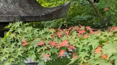 勝林寺(京都府)