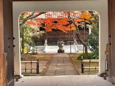 大正寺の山門・神門