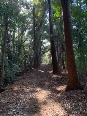 日枝大神(千葉県)