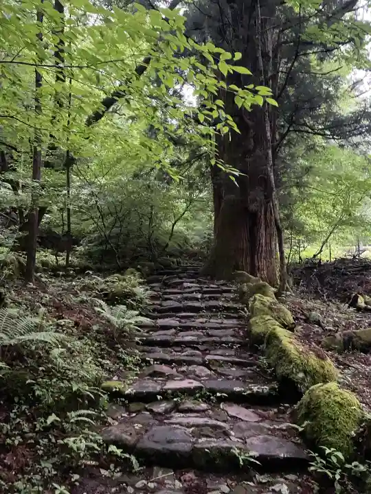 瀧尾神社(日光二荒山神社別宮)の{uncategorized: "未分類", other: "その他", undefined: "問題あり", building: "その他建物", grave: "お墓", sacred_gate: "鳥居", guardian: "狛犬", statue: "像", buddha: "仏像", history: "歴史", nature: "自然", garden: "庭園", animal: "動物", pagoda: "塔", temizu: "手水舎", mountain_gate: "山門・神門", sanctuary: "本殿・本堂", subordinate: "末社・摂社", art: "芸術", scenery: "景色", jizo: "地蔵", ema: "絵馬", goshuin: "御朱印", omikuji: "おみくじ", items: "授与品その他", amulet: "お守り", goshuincho: "御朱印帳", eats: "食事", festival: "お祭り", votive_dance: "神楽", shichigosan: "七五三参", wedding: "結婚式", experience: "体験その他", initially: "初詣", around: "周辺", anti_infection: "感染症対策"}